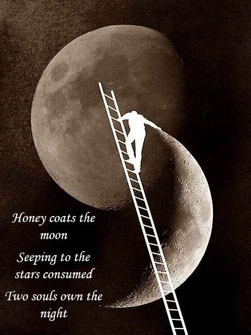 Scaling To The Reach The Softens of The Moon