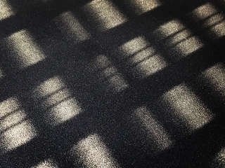 Image for the poem Covert Shadow Play