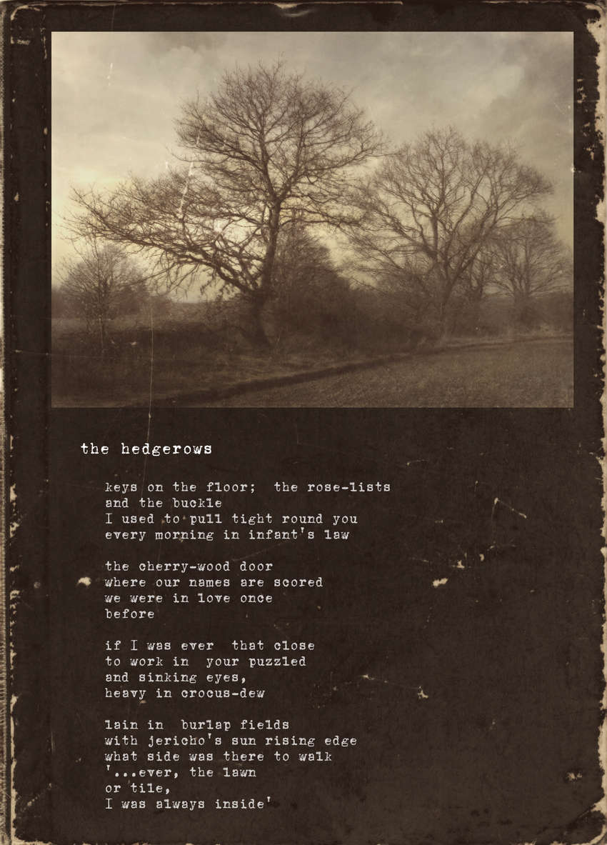 Visual Poem the hedgerows