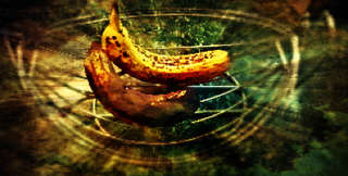 Image for the poem Senryu - Triptych: Going Absolutely Bananas