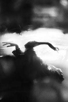 Image for the poem ~the shadow bird