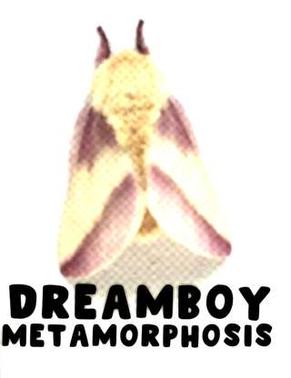 Image for the poem Metamorphosis