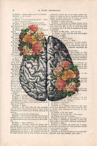 Image for the poem Sulci/Gyri