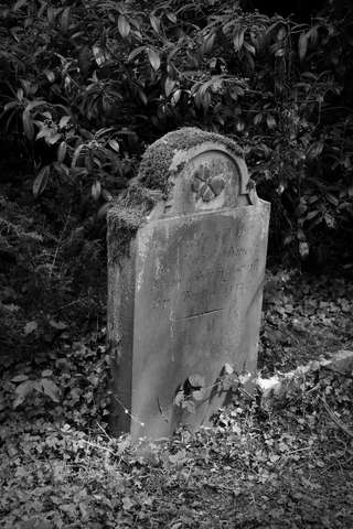 Image for the poem St Marys Graveyard