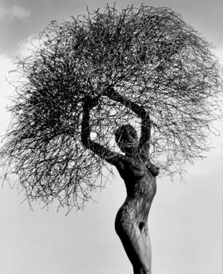 Image for the poem "Scentsuality" of Her Strange Fruit