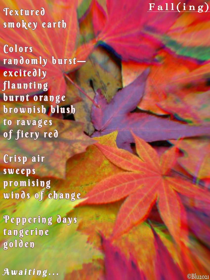 Visual Poem Fall(ing) 