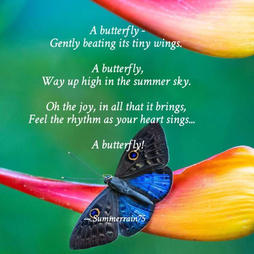 Visual Poem A Butterfly
