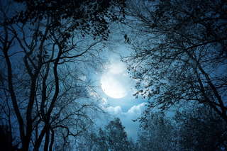 Image for the poem Full Moon Again 