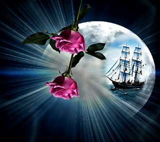 Image for the poem Nautical Roses