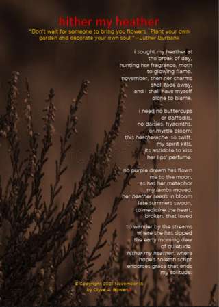 Image for the poem hither my heather