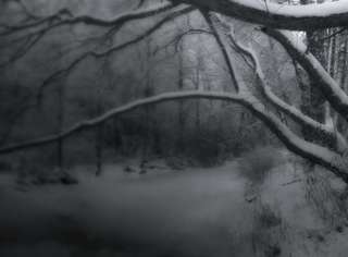 Image for the poem Cold Winter