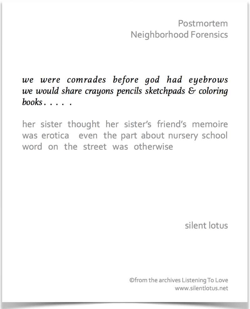 Visual Poem Postmortem Neighborhood Forensics