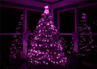 Image for the poem Merry Purple Christmas! 