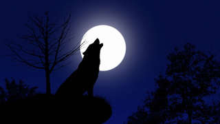 Image for the poem Wolf Moon