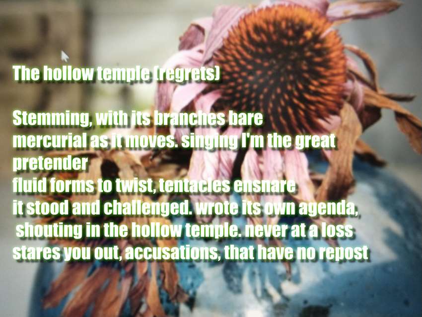 Visual Poem The hollow temple (regrets)