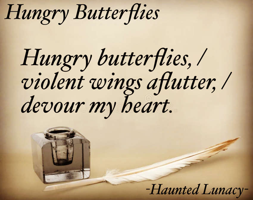 Visual Poem Hungry Butterflies 