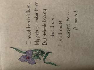 Image for the poem Petals 3 Trillium