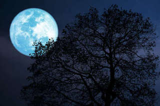 Image for the poem A Low Hanging Moon