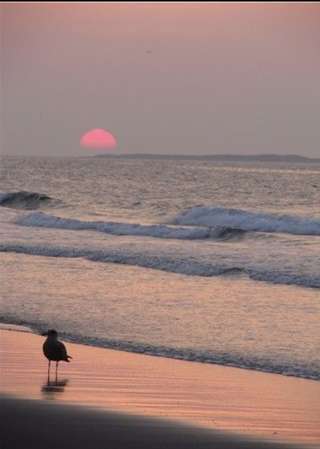 Image for the poem Gloucester Massachusetts 