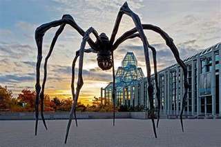 Image for the poem spider silk