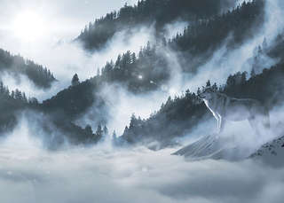 Image for the poem Primal Mist