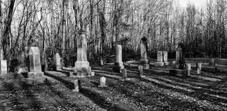 Image for the poem Undulations of Cemeteries 