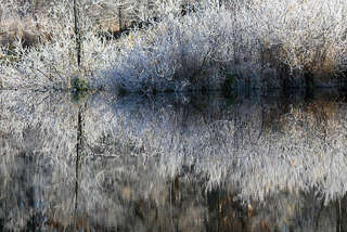 Image for the poem Accosted in Frost