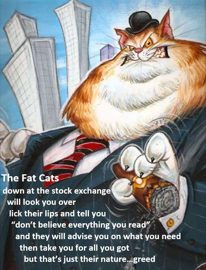 The Fat Cats