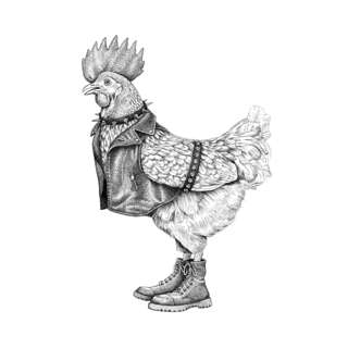 Image for the poem Punk Chicken