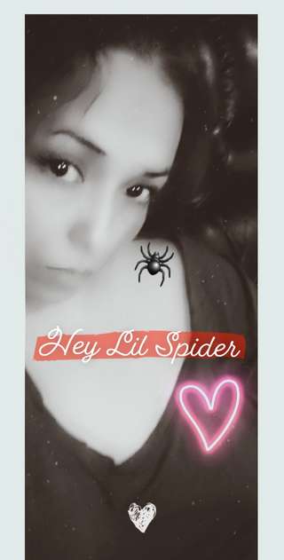 Image for the poem HEY LIL SPIDER