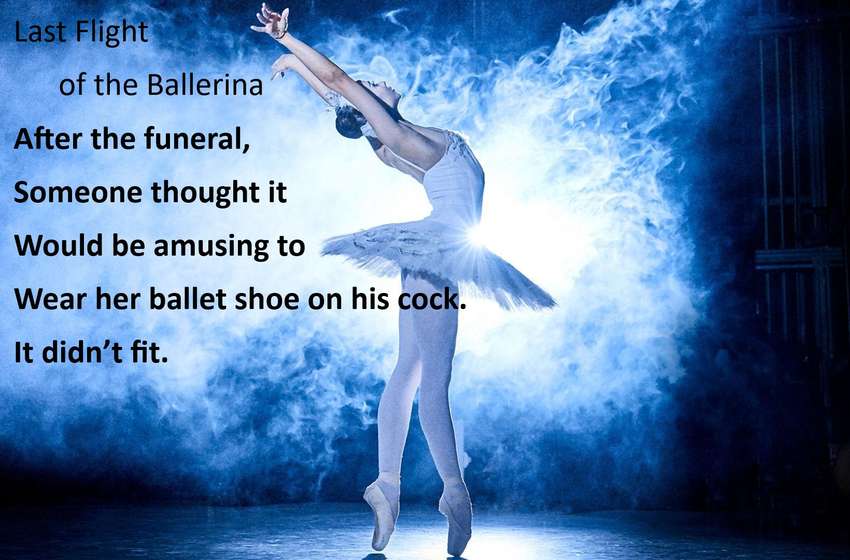 Visual Poem Last Flight of the Ballerina