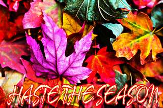 Image for the poem HASTE THE SEASON