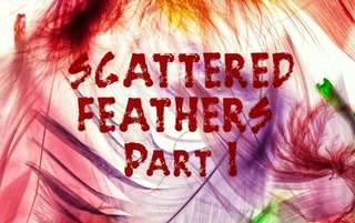 Image for the poem Scattered Feathers: Part 1