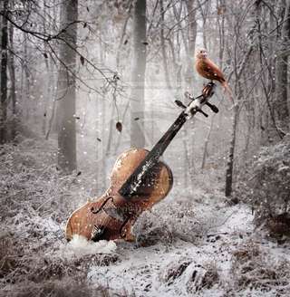 Image for the poem In Time, Frozen Cello 