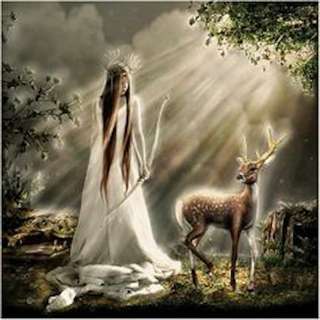 Image for the poem Artemis Woods