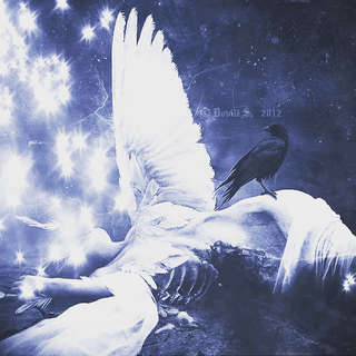 Image for the poem angelic ~