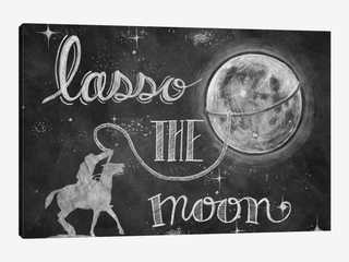 Image for the poem Lassoing the Moon