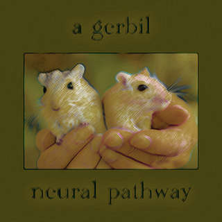 Image for the poem a gerbil neural pathway