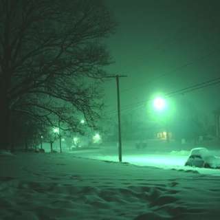 Image for the poem Green Winter Snow