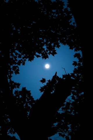 Image for the poem The Title Is Within The Poem U