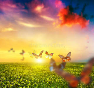Image for the poem Chasing Butterflies