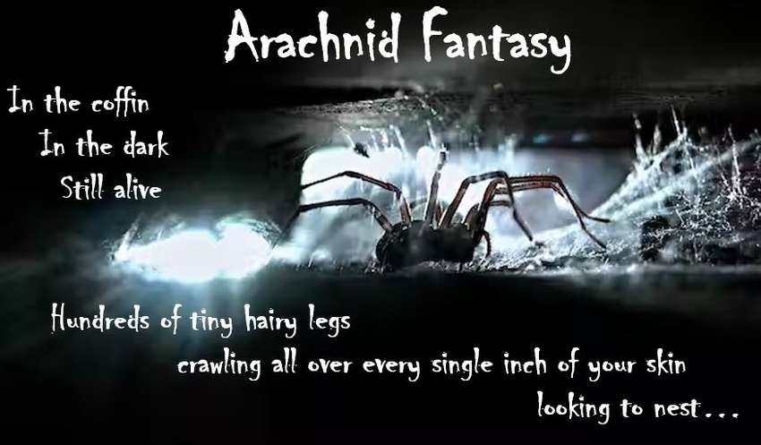 Visual Poem Arachnid Fantasy