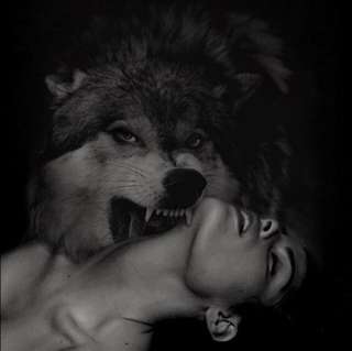 Image for the poem Two Werewolves. Loving causes wild pain.
