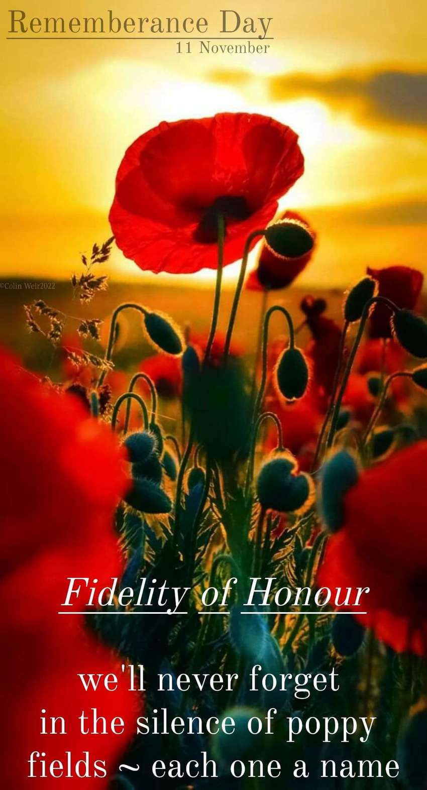 Visual Poem Fidelity Of Honour 