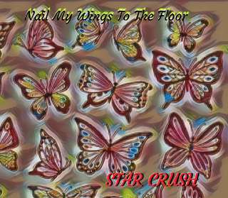 Image for the poem  Nail My Wings To The Floor 