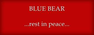 Image for the poem Blue Bear