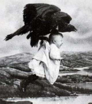 Image for the poem Vulture