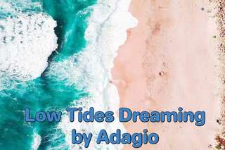 Image for the poem Low Tides Dreaming