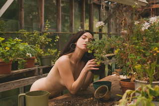 Image for the poem A Light In The Greenhouse