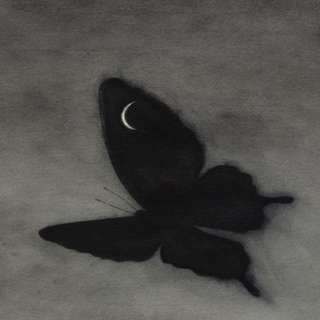 Image for the poem Butterfly. 